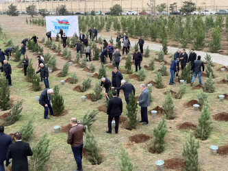 Nərimanov rayonunda 8 Noyabr – Zəfər Gününə həsr edilmiş ağacəkmə aksiyası keçirilib.