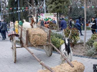 Nərimanov rayonunda Novruz bayramı münasibətilə şənlik təşkil olunub.