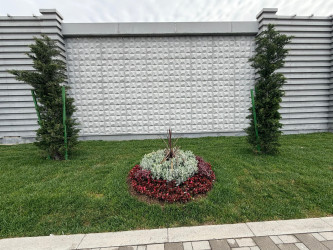 Nərimanov rayonunda daha sağlam və dayanıqlı şəhər mühitinin formalaşdırılması və ətraf mühitin qorunması məqsədilə bir sıra tədbirlər həyata keçirilir.