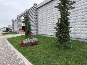 Nərimanov rayonunda daha sağlam və dayanıqlı şəhər mühitinin formalaşdırılması və ətraf mühitin qorunması məqsədilə bir sıra tədbirlər həyata keçirilir.