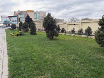 Nərimanov rayonunda daha sağlam və dayanıqlı şəhər mühitinin formalaşdırılması və ətraf mühitin qorunması məqsədilə bir sıra tədbirlər həyata keçirilir.