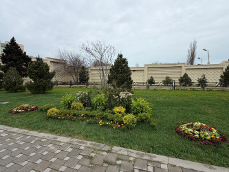 Nərimanov rayonunda daha sağlam və dayanıqlı şəhər mühitinin formalaşdırılması və ətraf mühitin qorunması məqsədilə bir sıra tədbirlər həyata keçirilir.