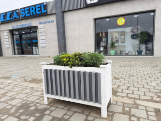 Nərimanov rayonunda daha sağlam və dayanıqlı şəhər mühitinin formalaşdırılması və ətraf mühitin qorunması məqsədilə bir sıra tədbirlər həyata keçirilir.