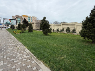 Nərimanov rayonunda daha sağlam və dayanıqlı şəhər mühitinin formalaşdırılması və ətraf mühitin qorunması məqsədilə bir sıra tədbirlər həyata keçirilir.