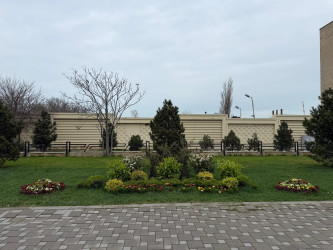 Nərimanov rayonunda daha sağlam və dayanıqlı şəhər mühitinin formalaşdırılması və ətraf mühitin qorunması məqsədilə bir sıra tədbirlər həyata keçirilir.