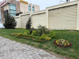 Nərimanov rayonunda daha sağlam və dayanıqlı şəhər mühitinin formalaşdırılması və ətraf mühitin qorunması məqsədilə bir sıra tədbirlər həyata keçirilir.