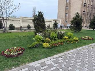 Nərimanov rayonunda daha sağlam və dayanıqlı şəhər mühitinin formalaşdırılması və ətraf mühitin qorunması məqsədilə bir sıra tədbirlər həyata keçirilir.